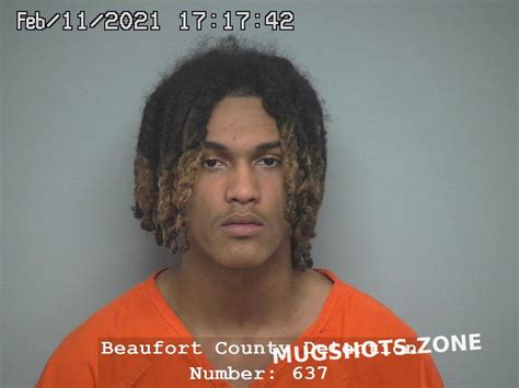 Elijah Maurice Johnson Beaufort County Mugshots Zone