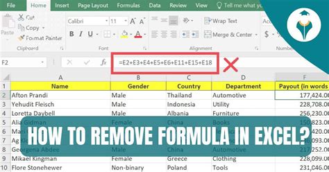 How To Remove Formula In Excel Shiksha Online