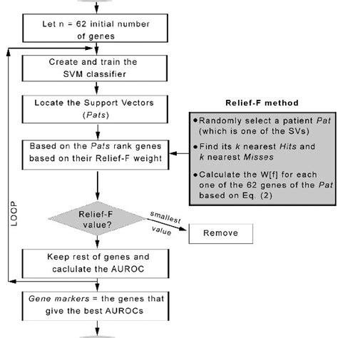 The Flow Chart Of The Proposed Methodology For Optimal Gene Selection Download Scientific