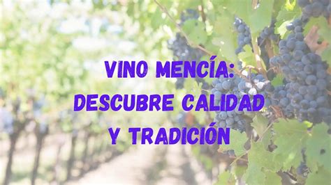 Vino Mencía Descubre calidad y tradición De Comer a Parte