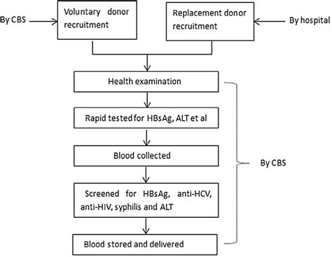 Blood Donor Screening