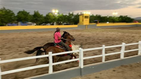 Vaquejada Ao Vivo Parque Maria Madalena Rafael Jambeiro Ba Dia