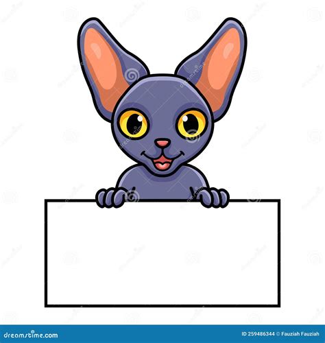 Cute Peterbald Cat Cartoon Holding Blank Sign Stock Vector