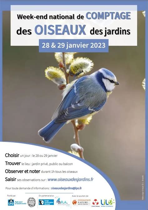 Comment La Population Des Oiseaux Des Jardins A T Elle Volu Depuis