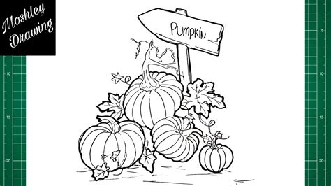 How To Draw A Pumpkin Patch Step By Step YouTube