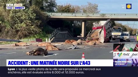 Bovins Chapp S Autoroute Bloqu E Chaos Sur L A Apr S L Accident D