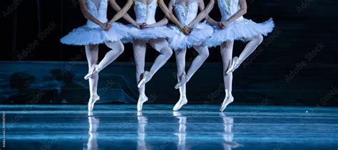 Swan Lake ballet. Stock Photo | Adobe Stock