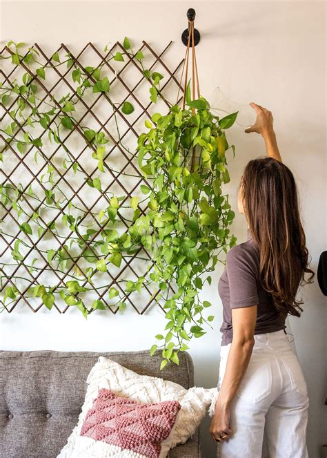 4 Easy Ideas For Decorating Walls With Plants Besthomish