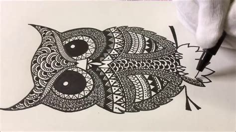 Zendoodle Zentangle Inspired Owl Timelapse Karthika Loves Diy Youtube