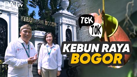Tek Tok - Udjo Ecoland - DAAI+