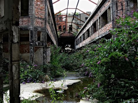 North Street Arcade, Belfast (Northern Ireland) - five years after the ...