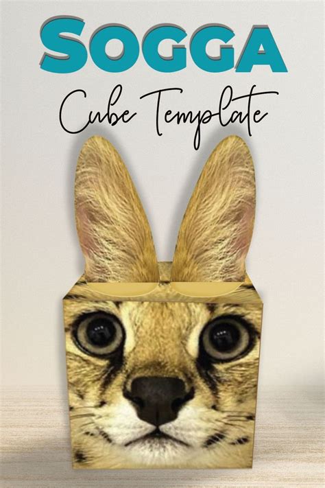 Sogga Cat Cube Papercraft Template
