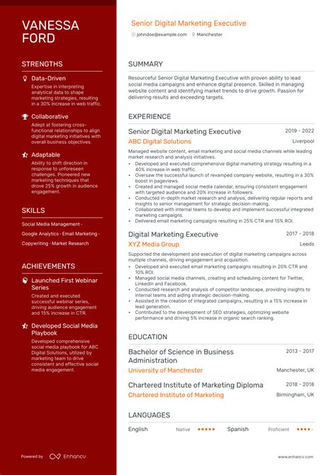 Digital Marketing Executive Cv Examples For