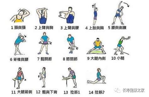 热身运动有哪些 16个热身动作 热身八个图片 大山谷图库