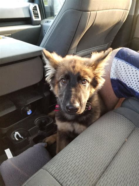 Stormy Is Home Letterkenny