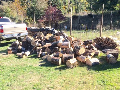 Hauling The Last Of The Wood For A While Firewood Hoarders Club