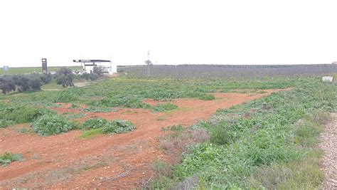 Licitadas Las Obras Del Nuevo Pol Gono Industrial De La Zarza La Zarza