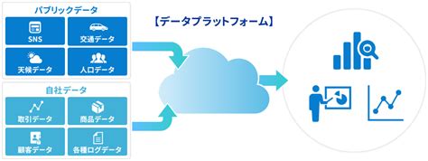 データプラットフォーム 株式会社電算システム