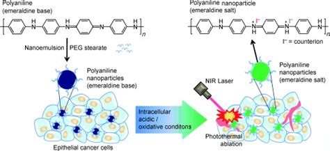 Schematic Illustration Of The Preparation Of Organic Photothermal