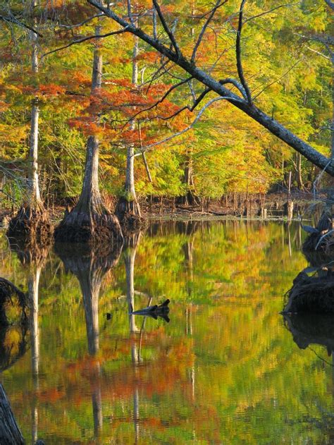 21 Most Beautiful Places To Visit In Mississippi The Crazy Tourist Places To Visit