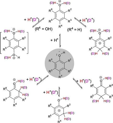 On The Protonation And Deuteration Of Simple Phenols Hartmann