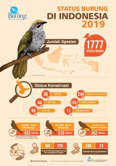 Siaran Pers Jumlah Jenis Burung Di Indonesia Bertambah Burung