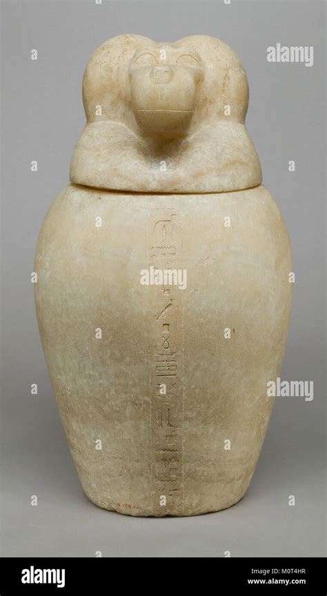 Canopic Jar With A Baboon Headed Lid Hapy Met A B Front Stock