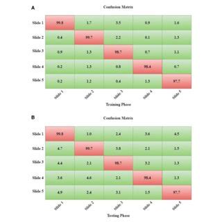 A The Training Phase Of DeepNet B The Testing Phase Of DeepNet