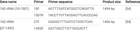 Oligonucleotide Primers Employed To Amplify 16s Rrna Gene Download