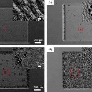 Femtosecond Laser Induced Surface Micro Structure Morphology By SEM At