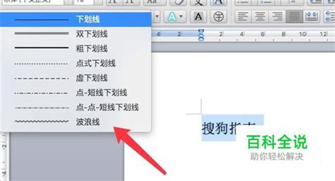 Word怎么在文字下面添加波浪线 【百科全说】