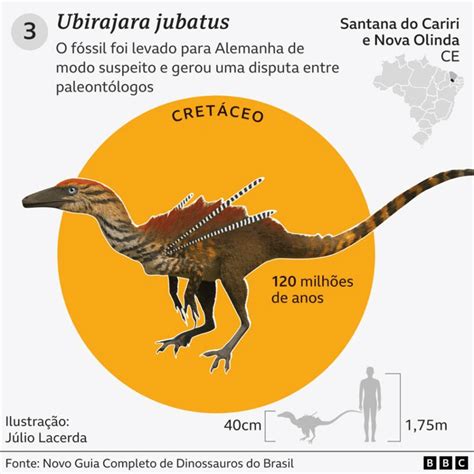 Fascinantes histórias de 7 dinossauros encontrados no Brasil