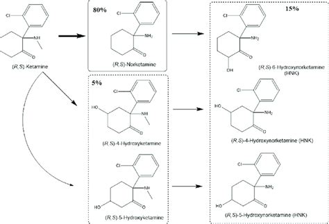 Metabolism of ketamine (R,S)-Ketamine is metabolized to... | Download ...