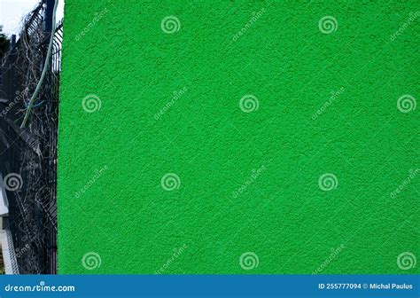 Green Wall with Plaster Painted Deep Light Green. Stock Photo - Image of background, high: 255777094