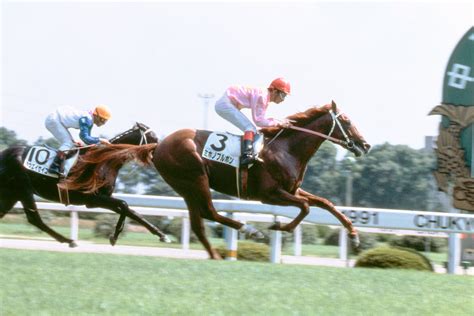 ミホノブルボン｜3分でわかった気になる名馬 Jra