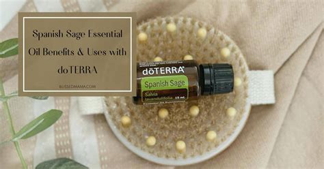 Spanish Sage Essential Oil Benefits And Uses With Doterra