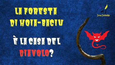 La foresta di Hoia Baciu è la casa del Diavolo YouTube