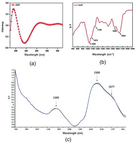 CCP Structural Organization A CD Spectra B FT IR Spectrum With A