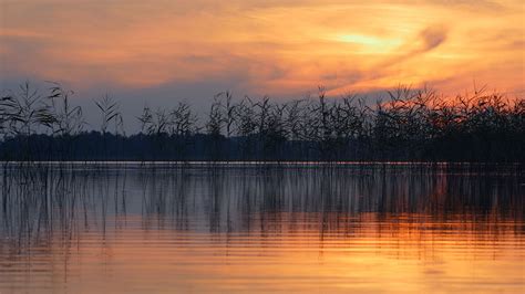 Bing HD Wallpaper Jul 12, 2020: A day to take a moment - Bing Wallpaper ...