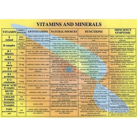 Vitamins Minerals A By Baarle Jan Van Poster Ebay