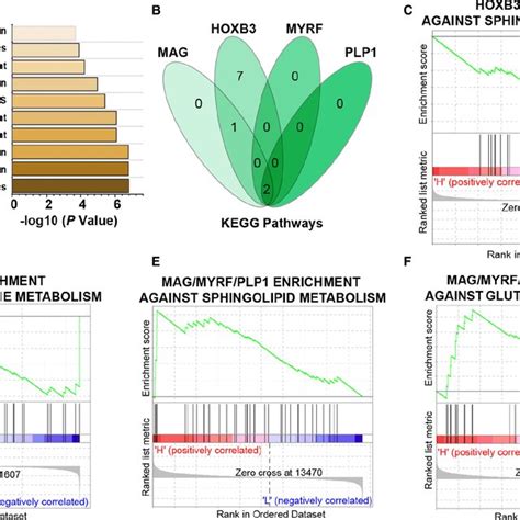 Gene Set Enrichment Analysis Gsea Identifies The Hub Genes And Their