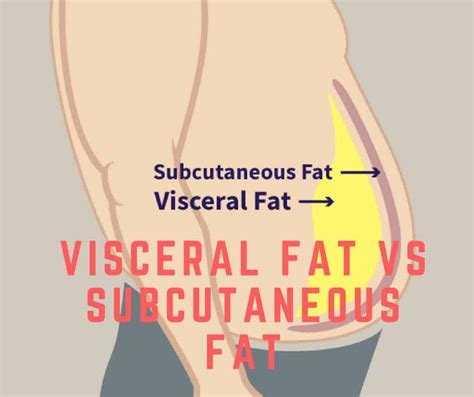 Visceral Fat Vs Subcutaneous Fat Cool Sculpting And Spa Services In