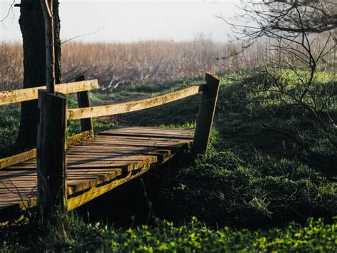 Wandern An Der Schlei Tourentipps Rund Um Den Ostseefjord Fr Ulein