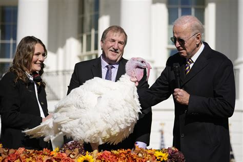 Pardoned Turkeys 2024 - Dianne Kerrie