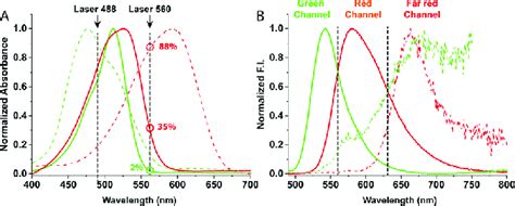 Normalized Absorption A And Emission B Spectra Of Smcy Green