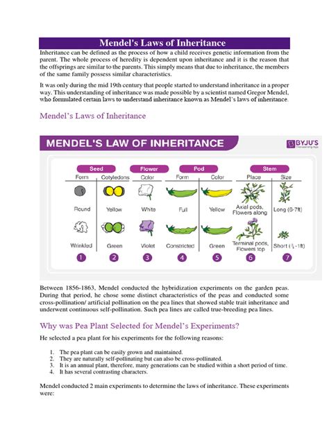 Laws of Inheritance | PDF | Dominance (Genetics) | Heredity