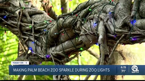 WPTV gets inside look at 'Zoo Lights' at Palm Beach Zoo