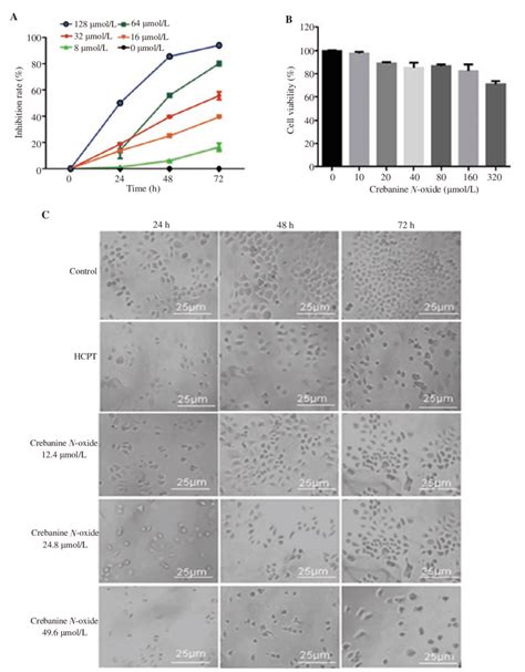 Effect Of Crebanine N Oxide On Cell Growth Of Human Gastric Cancer