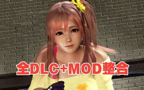 【hs2 死或生6 沙滩排球3】全部dlc Mod终极整合（pc 掌机） 哔哩哔哩