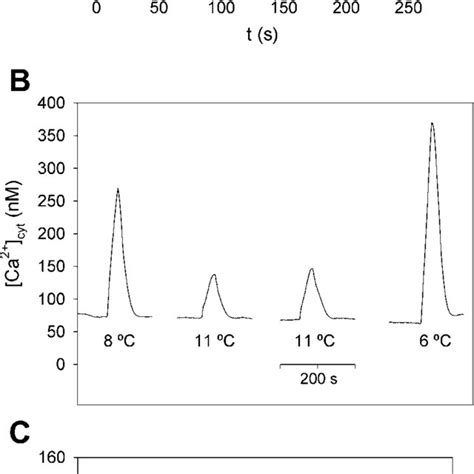 Increase In Cytosolic Free Calcium Concentration Ca Cyt In Sw